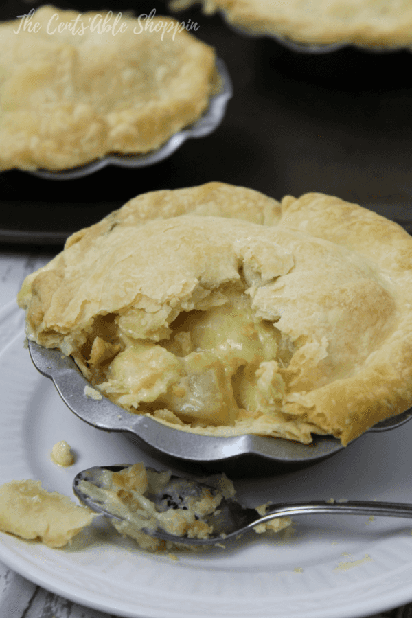 A delicious homemade chicken and potato pot pie with a homemade butter crust - comfort food at it's best!