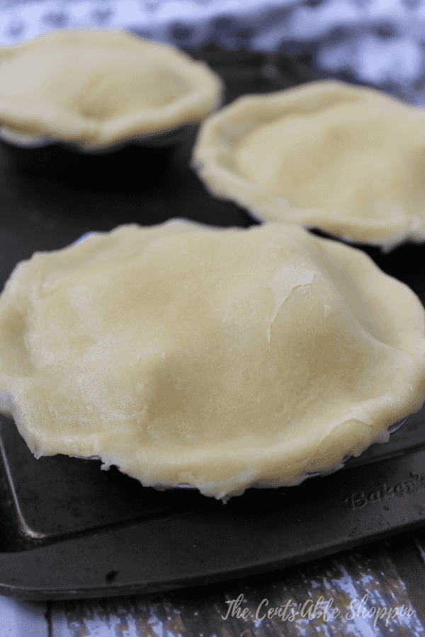 Homemade Chicken and Potato Pot Pie with Butter Crust