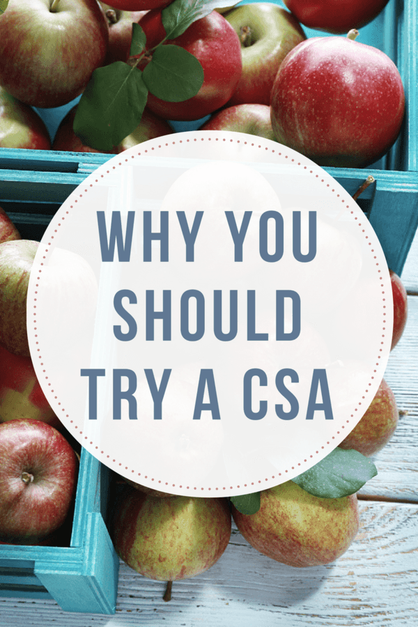 If you haven't considered investing in a CSA, there are many reasons you should consider - local, sustainably grown, organic produce is not only healthier, it's a great way to support your local farmer.