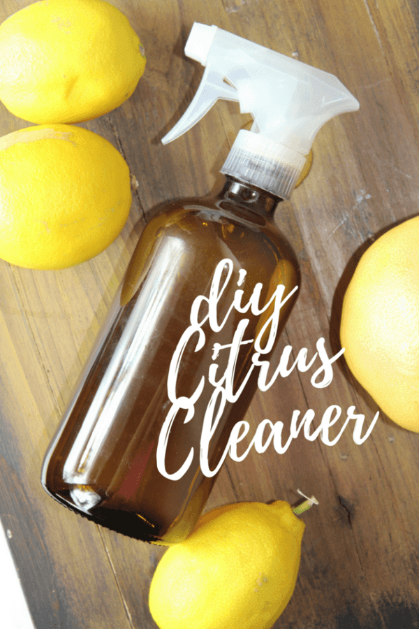 Homemade Citrus Cleaner The CentsAble Shoppin