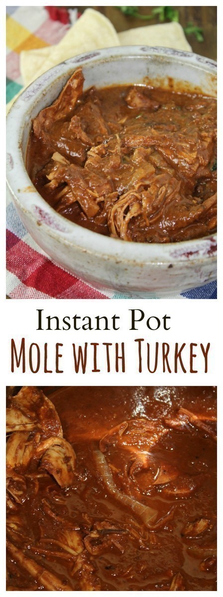 Whip up this rich and savory Instant Pot Mole sauce with ingredients from your kitchen pantry. Serve it with chicken or turkey and rice for a complete meal.