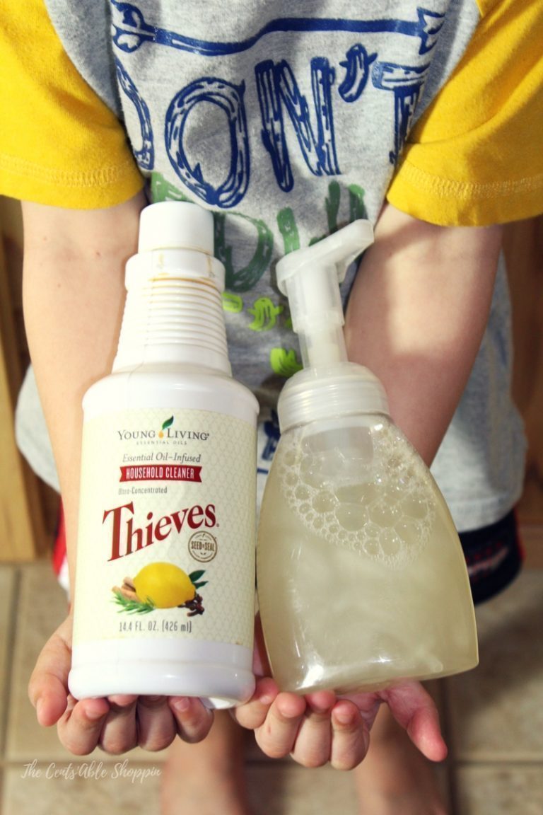 How to Make Foaming Hand Soap The CentsAble Shoppin