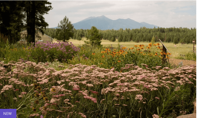 Up to 30% OFF Local Deals on Groupon (Great Deal on Flagstaff Arboretum Admission)