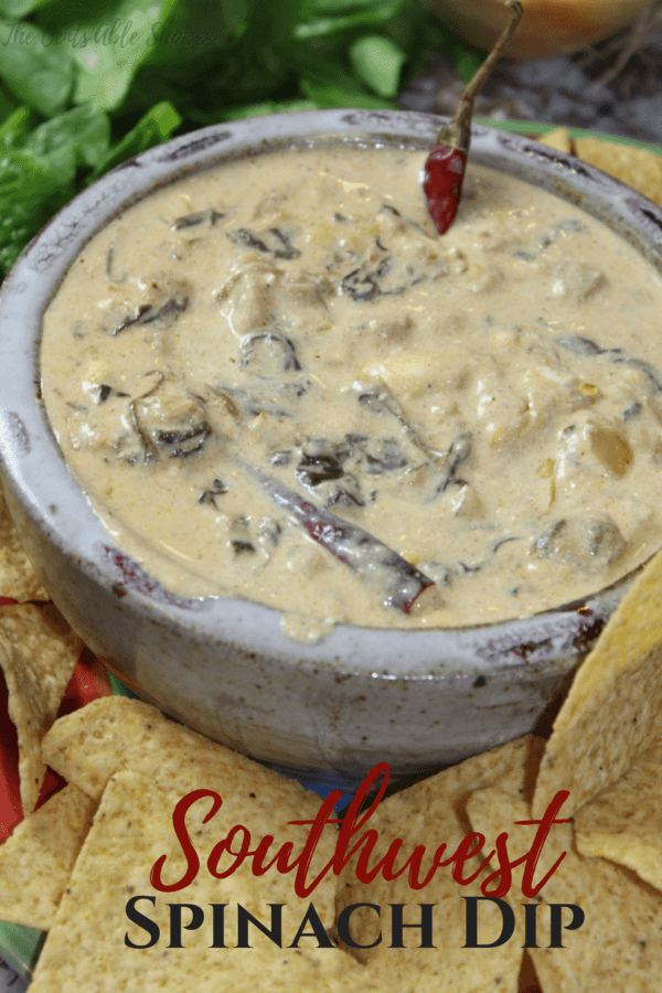 Instant Pot Spicy Southwest Spinach Dip