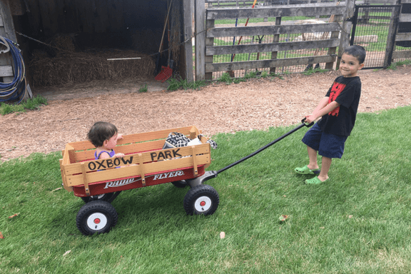 Are you going to Southeast Minnesota? You won't want to miss your chance to visit Zollman Zoo and Oxbow Park!