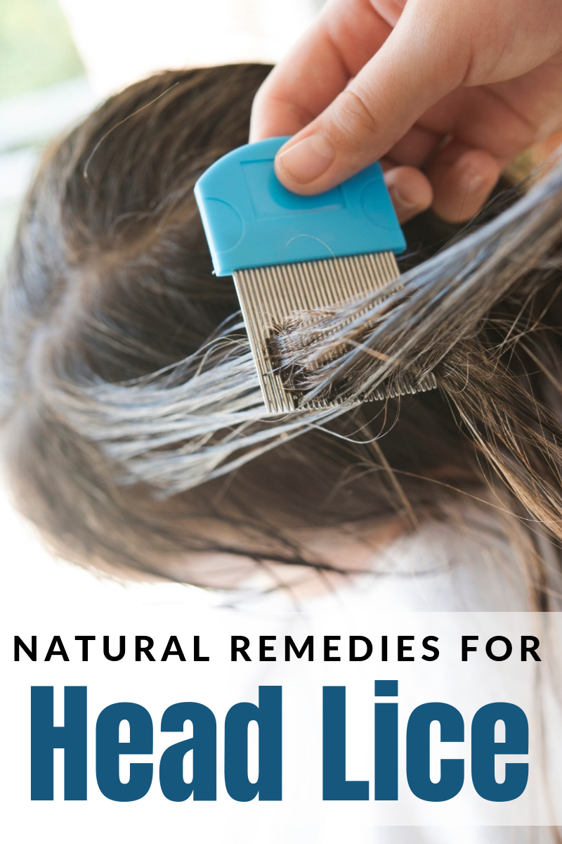 Home Remedies For Head Lice: What Works?