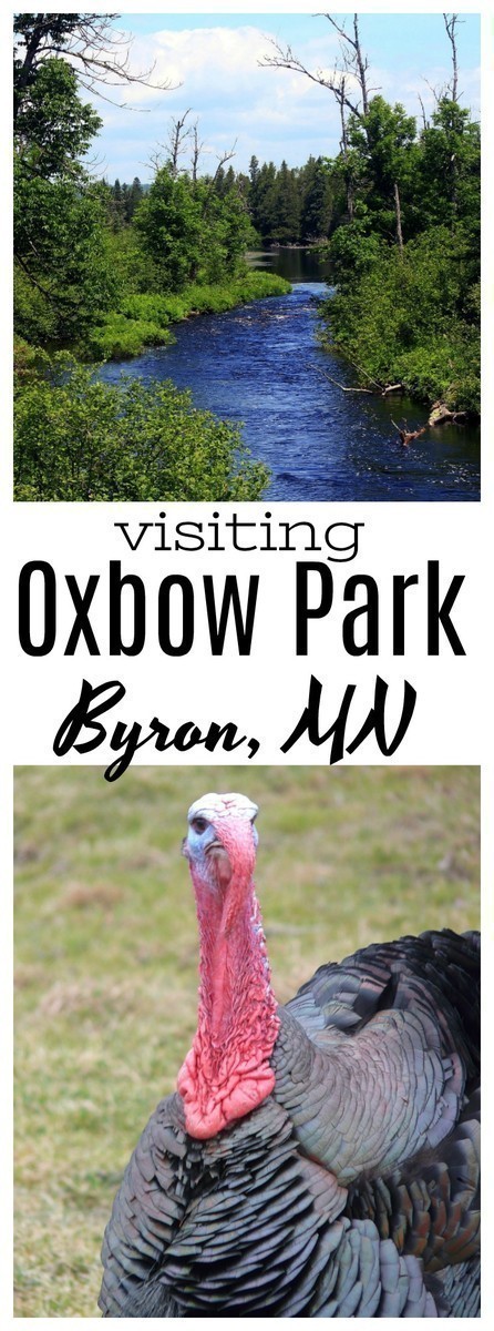 Are you going to Southeast Minnesota? You won't want to miss your chance to visit Zollman Zoo and Oxbow Park!