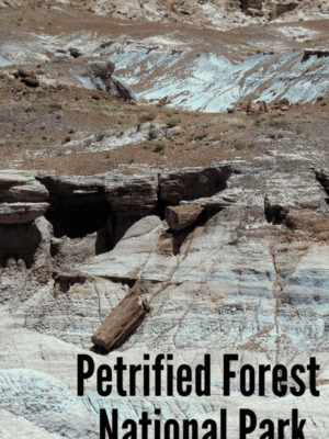 Visit the Petrified Forest National Park (Arizona)