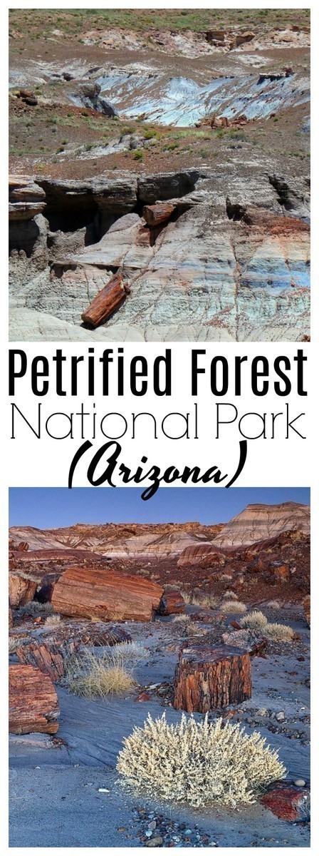The Petrified Forest is one of the world's largest assemblies of petrified wood - historic structures, and archaeological site.