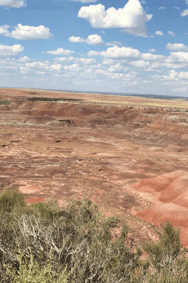 The Painted Desert is a beautiful desert of badlands in the Four Corners area - it runs from the east end of the Grand Canyon National Park southeast to the Petrified Forest National Park.