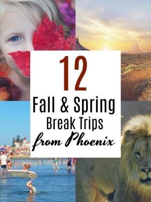 12 Fall and Spring Break Trips from Phoenix