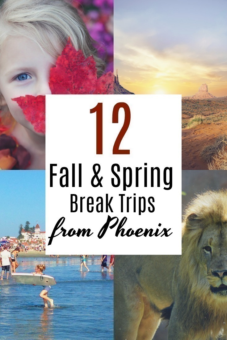  Looking for something to do with the kids during the fall and spring break? Here are 12 fun and family friendly ideas in for those living in the Phoenix area.    #springbreak #fallbreak #Phoenix #Arizona #travel #roadtrip 