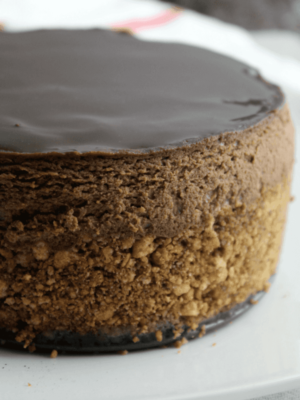 Instant Pot Chocolate Cheesecake