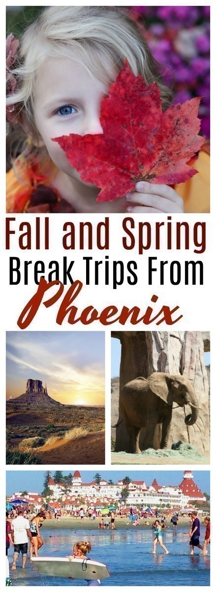 Looking for something to do with the kids during the fall and spring break? Here are 12 fun and family friendly ideas in for those living in the Phoenix area.
