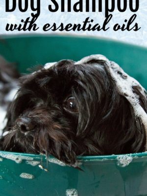 Dog Shampoo with Essential Oils