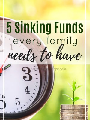 5 Must-Have Sinking Funds