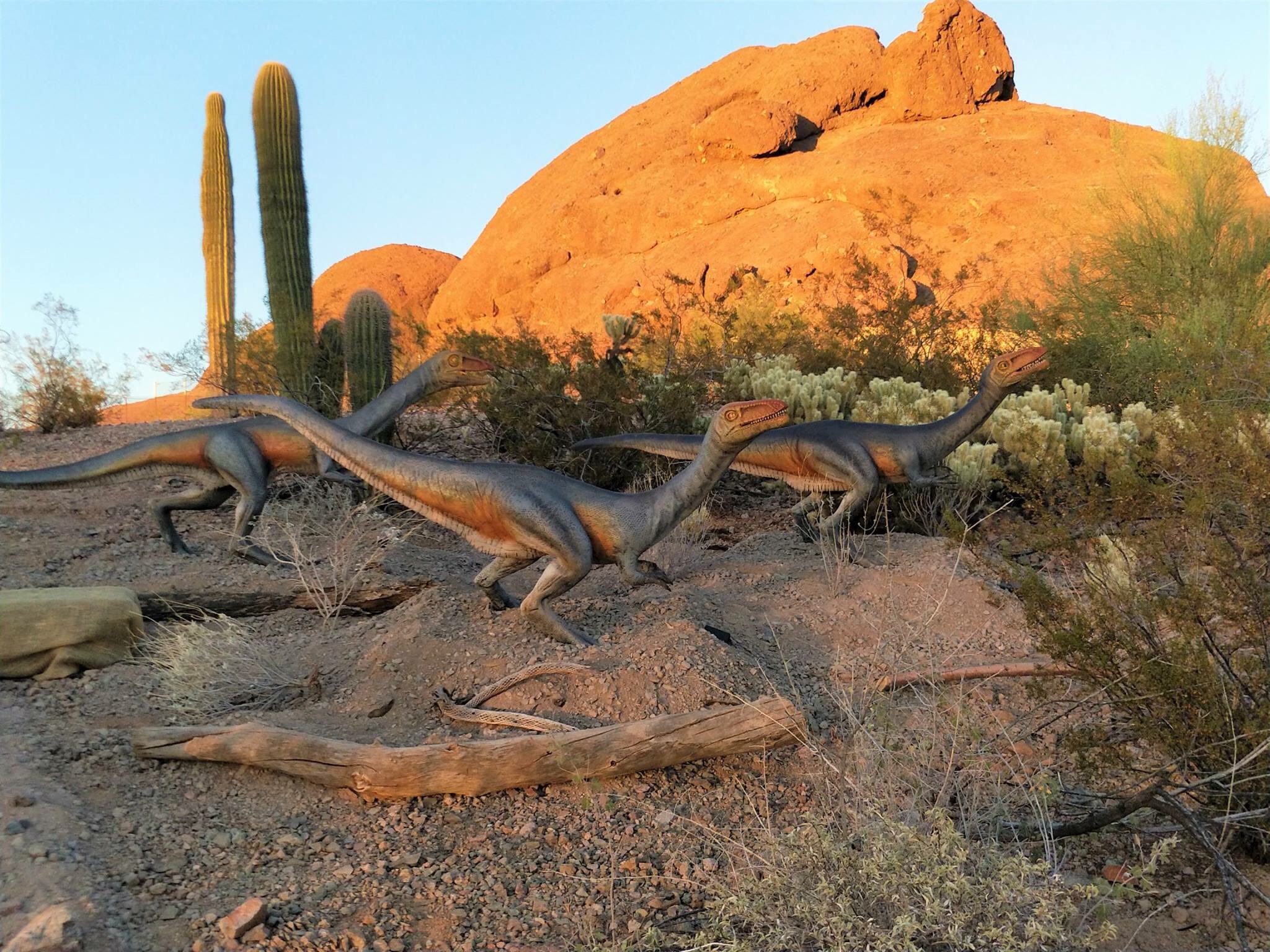 Twenty-three prehistoric creatures have officially descended onto the Phoenix Zoo’s Desert Lives Trail. This is an unforgettable self-guided expedition into the land of the lost you won’t want to miss. #Phoenix #Arizona