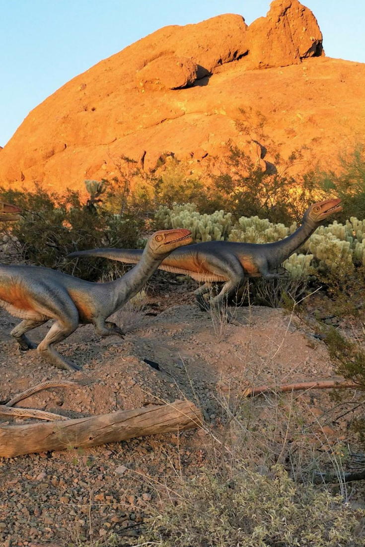 Dinosaurs in the Desert at the Phoenix Zoo