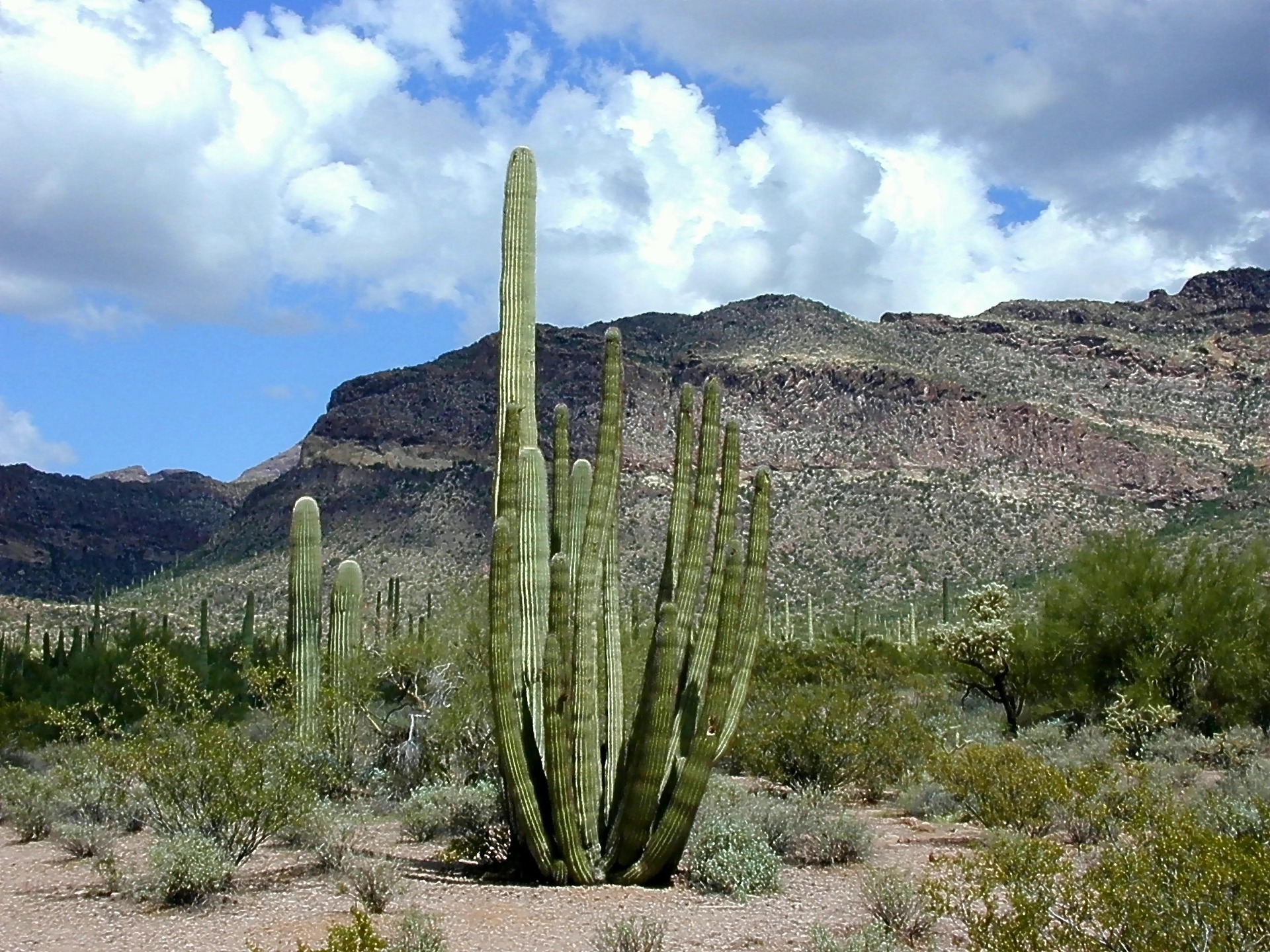 From National Monuments to Native American Ruins, here are 14 unique and educational places to visit in Arizona with your family.