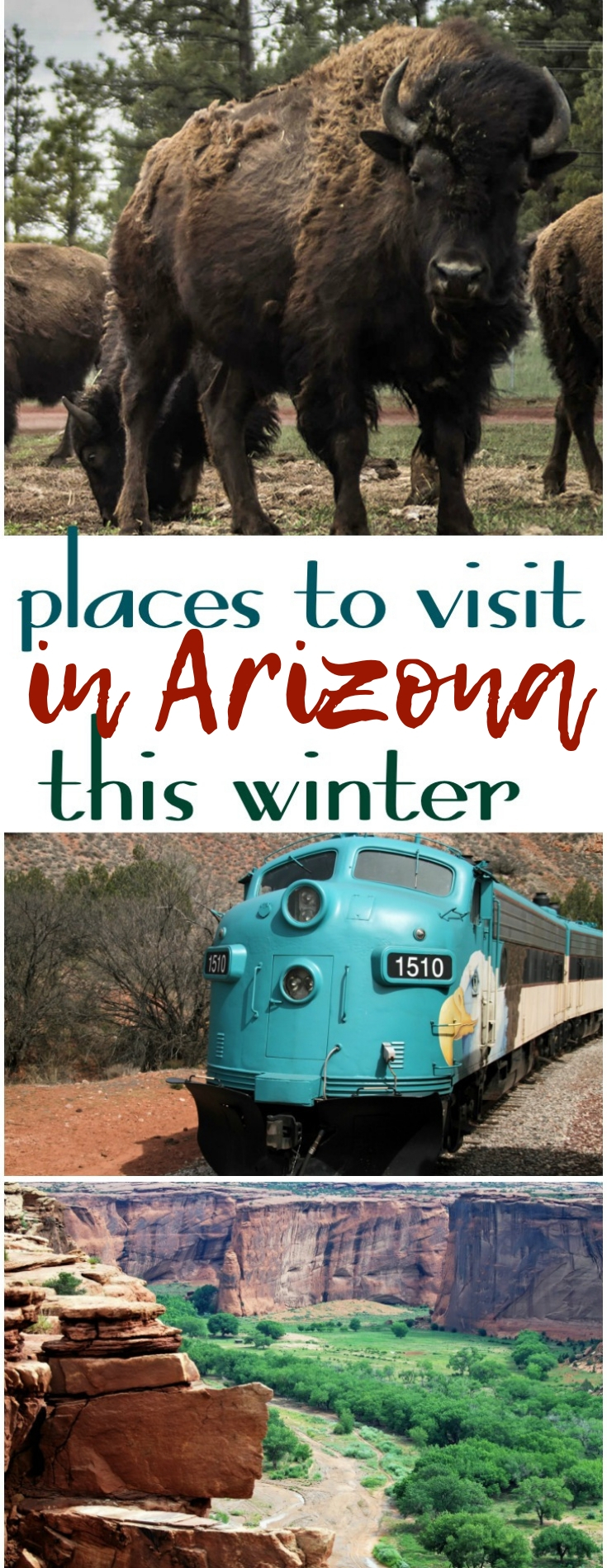 With cooler weather comes the opportunity to be outside! Here are over 11 places you will want to visit in Arizona this winter!