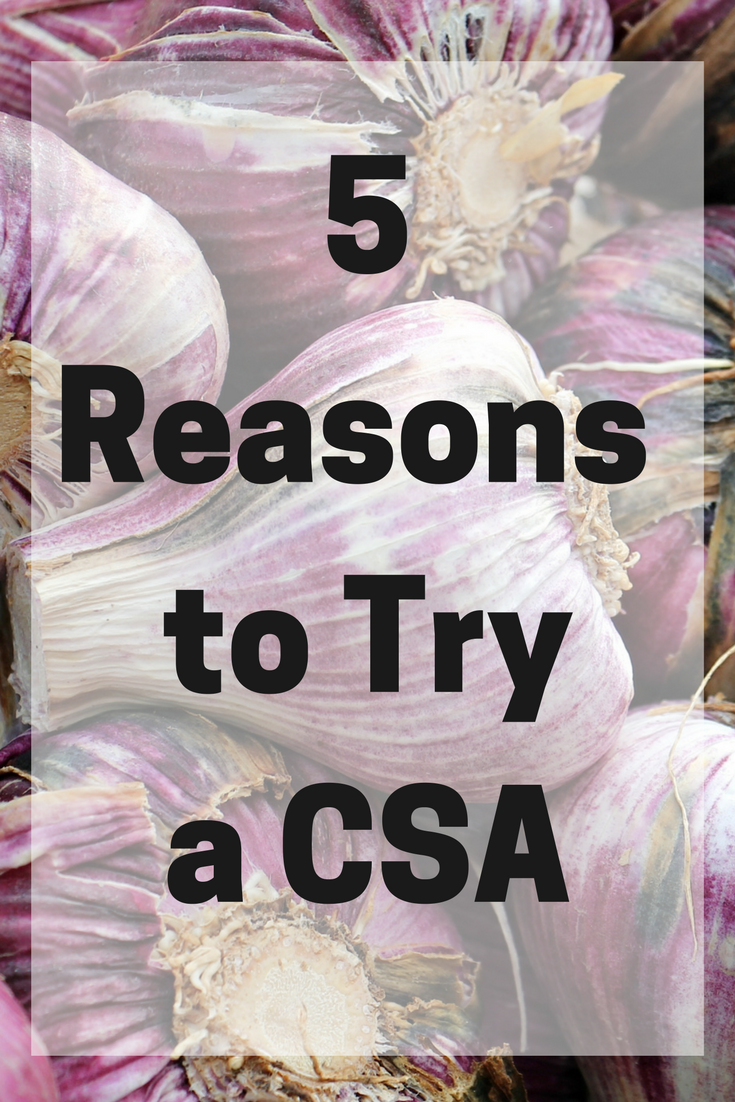 5 Reasons to Try a CSA