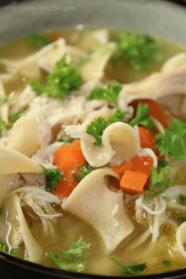 Easy Instant Pot Chicken Noodle Soup - The Cents'Able Shoppin