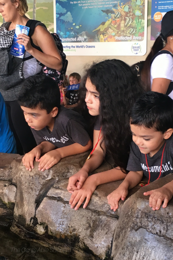 Check out these 12 tips for visiting LEGOLAND California for the first time. These tips will help you have the most enjoyable trip possible. 