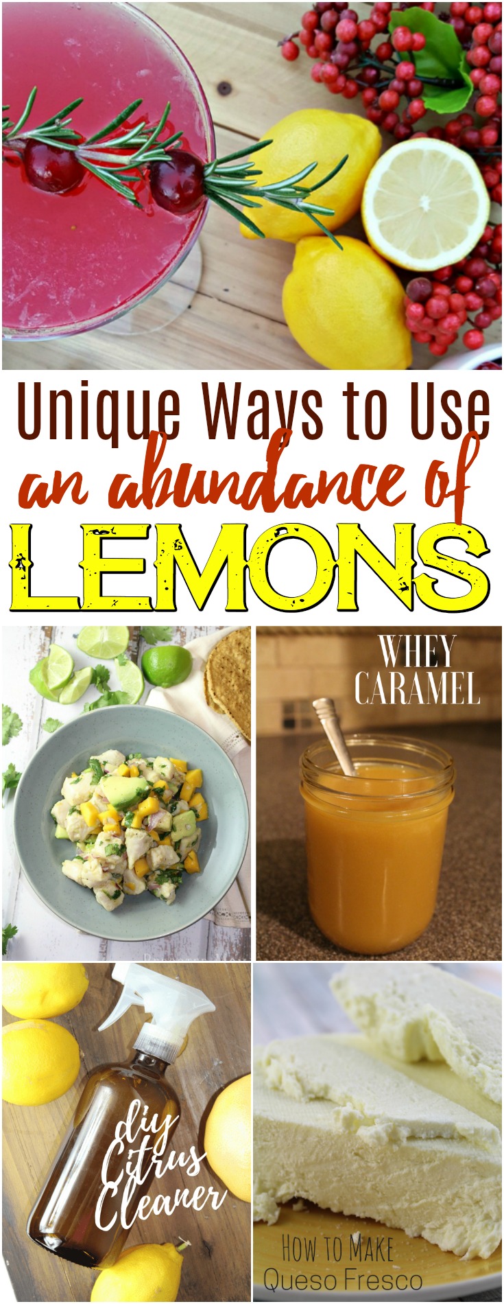 Unique Ways to Use an Abundance of Lemons