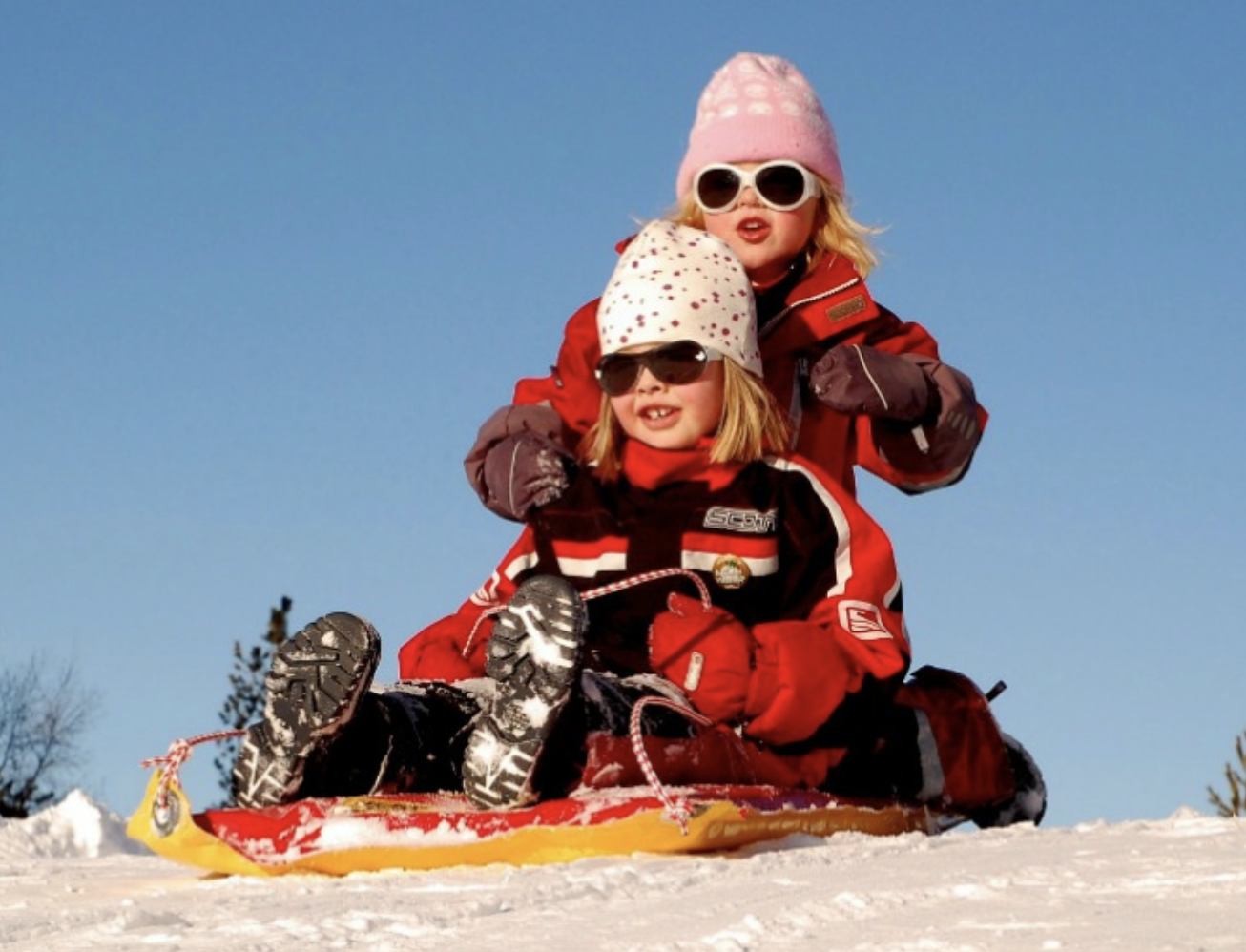 Where to Go Sledding in Arizona The CentsAble Shoppin