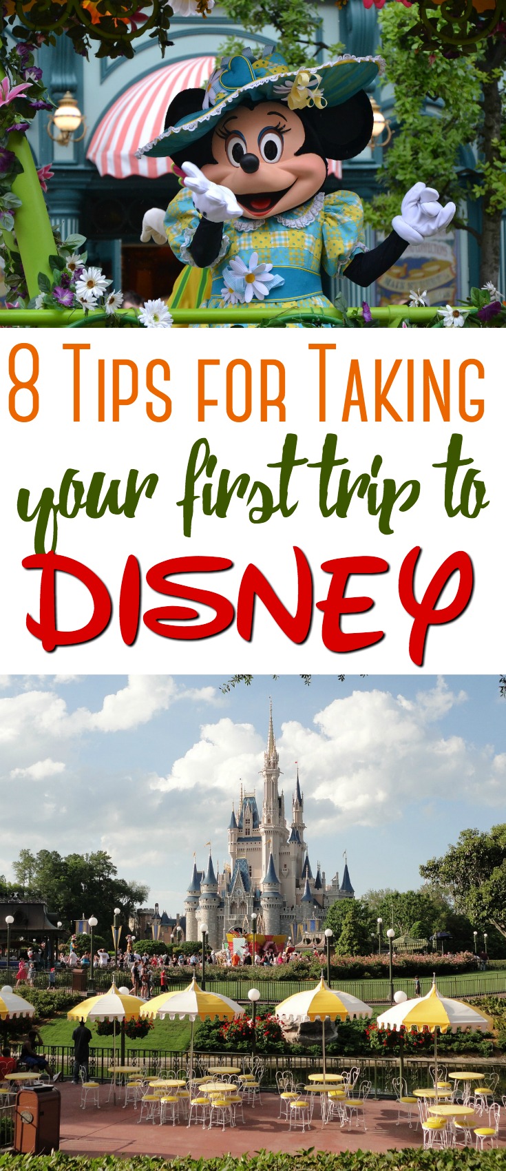 Disney is a wonderful place to visit - no matter what your age! Here are 8 tips for making your first trip to Disney one that you will never forget!