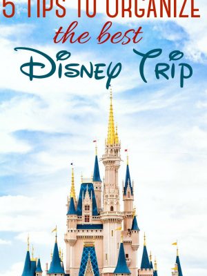 5 Tips to Organize the Best Disney Trip