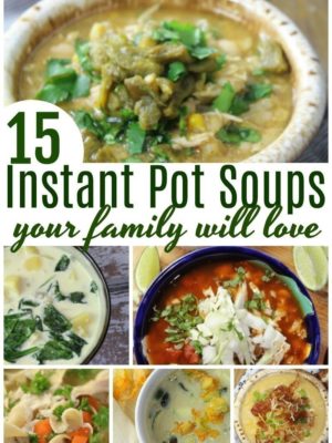 15 Instant Pot Soup Recipes your Family will Love