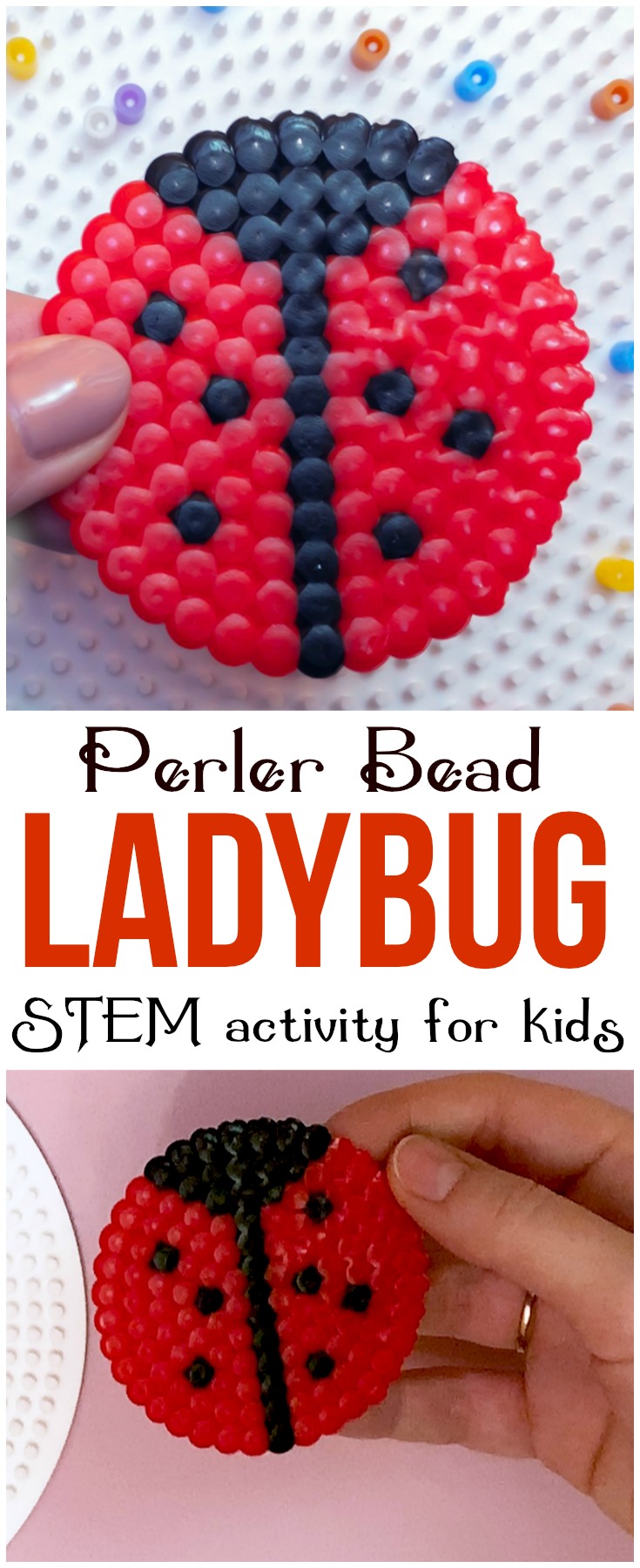 This perler bead ladybug is a fun and adorable project that will help kids develop fine motor skills, patience and artistic design! #perler #perlerbead #STEM #STEAM #kids #craft #motorskills #spring #ladybug