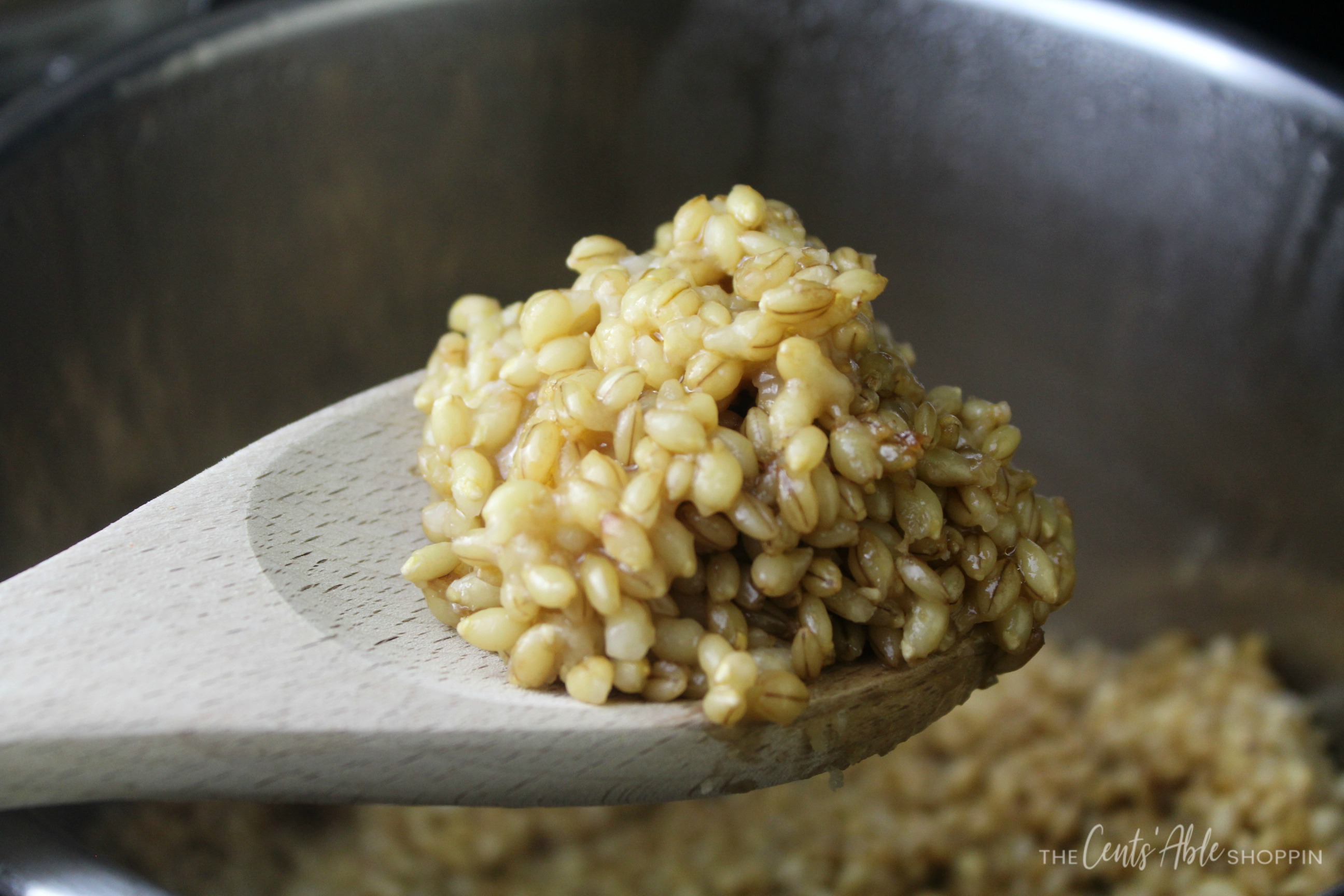 Instant Pot Pearl Barley