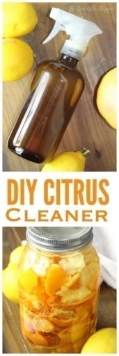 Homemade Citrus Cleaner