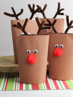 Reindeer Drink Pouch DIY