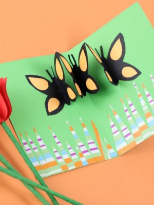 Butterfly Pop Up Card