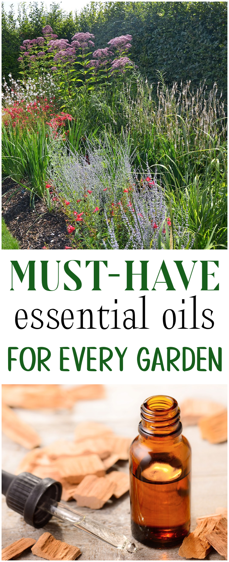 Love time in the garden? Find out the MUST-have essential oils that every gardener needs!