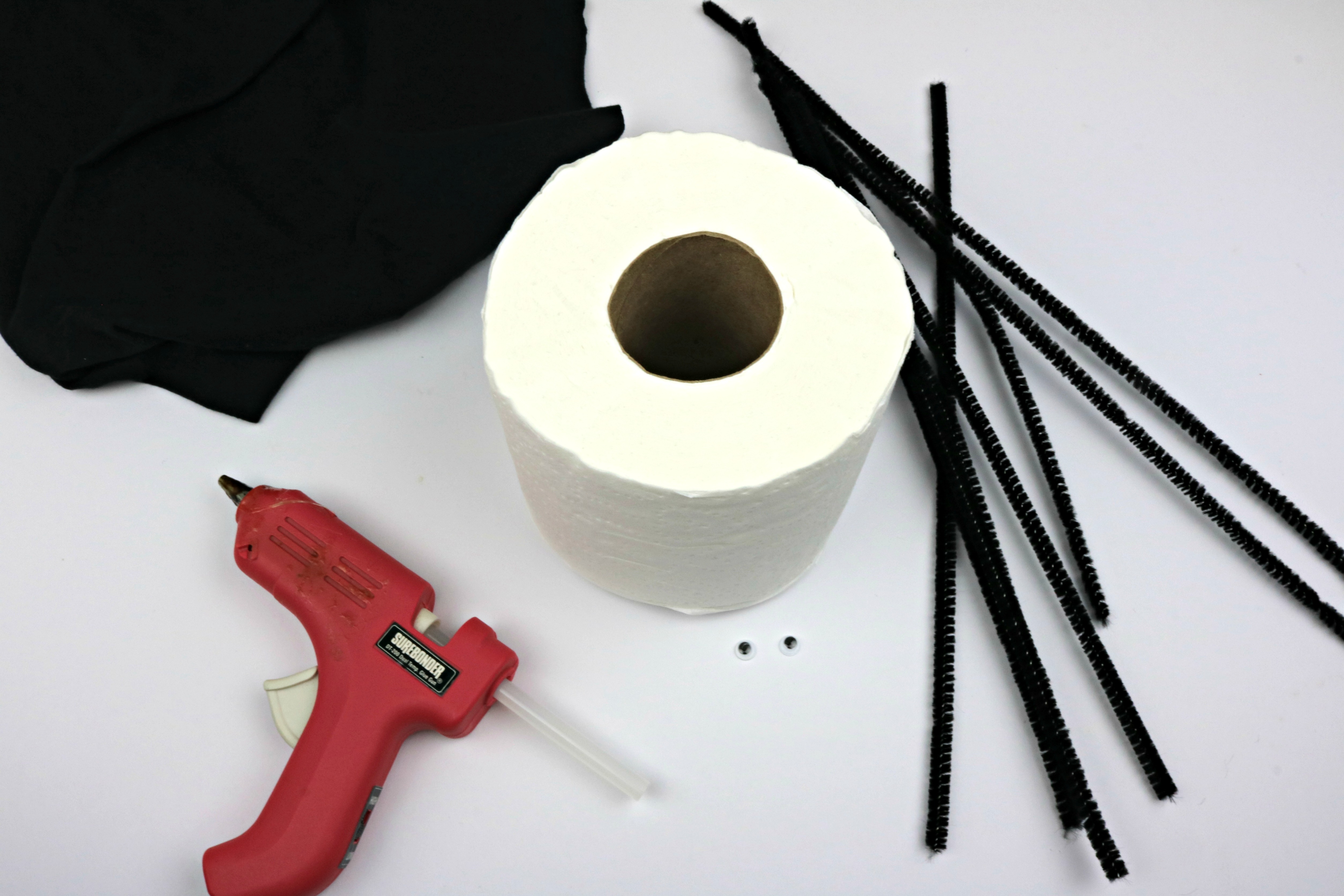 DIY Toilet Paper Spider