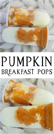 Pumpkin Breakfast Pops