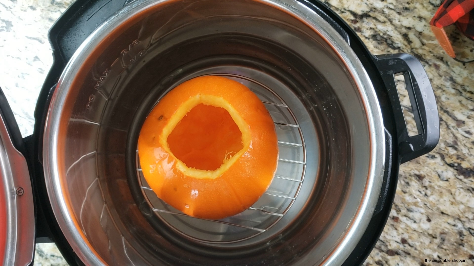 Instant Pot Pumpkin Puree