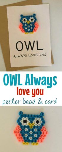 OWL Always Love You