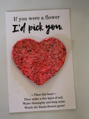 Seed Paper Valentine Card