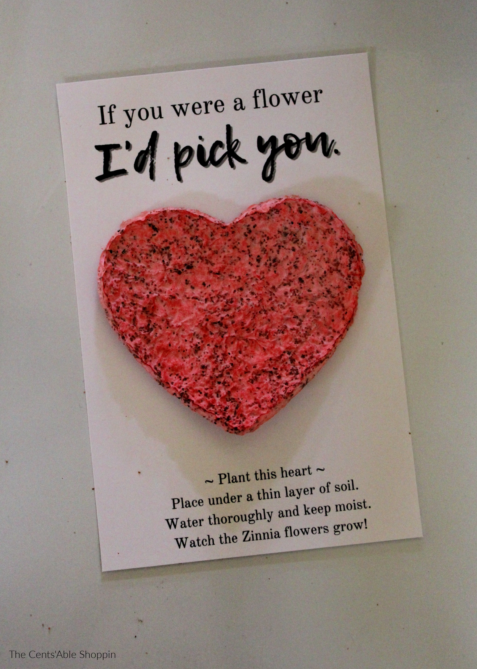 Seed Paper Valentine Card The CentsAble Shoppin seed-paper-valentine-card-the-centsable-shoppin
