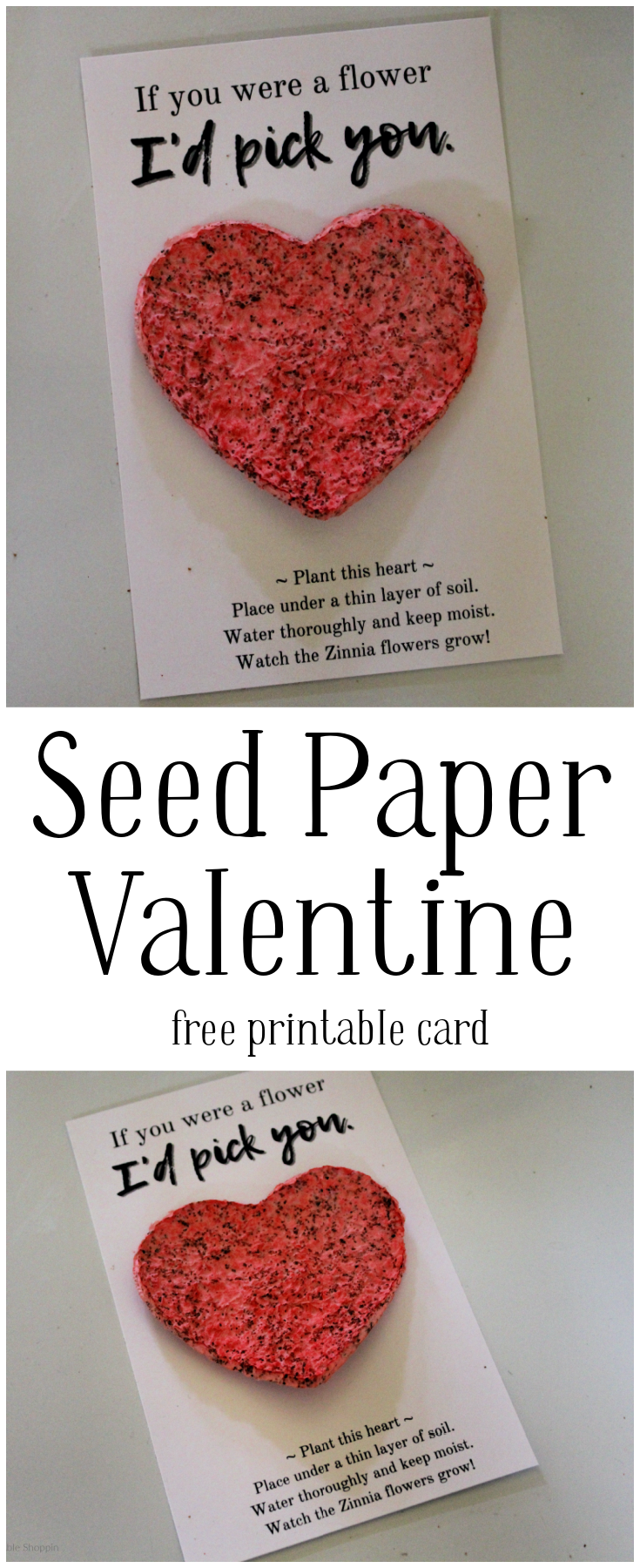 Seed Paper Valentine