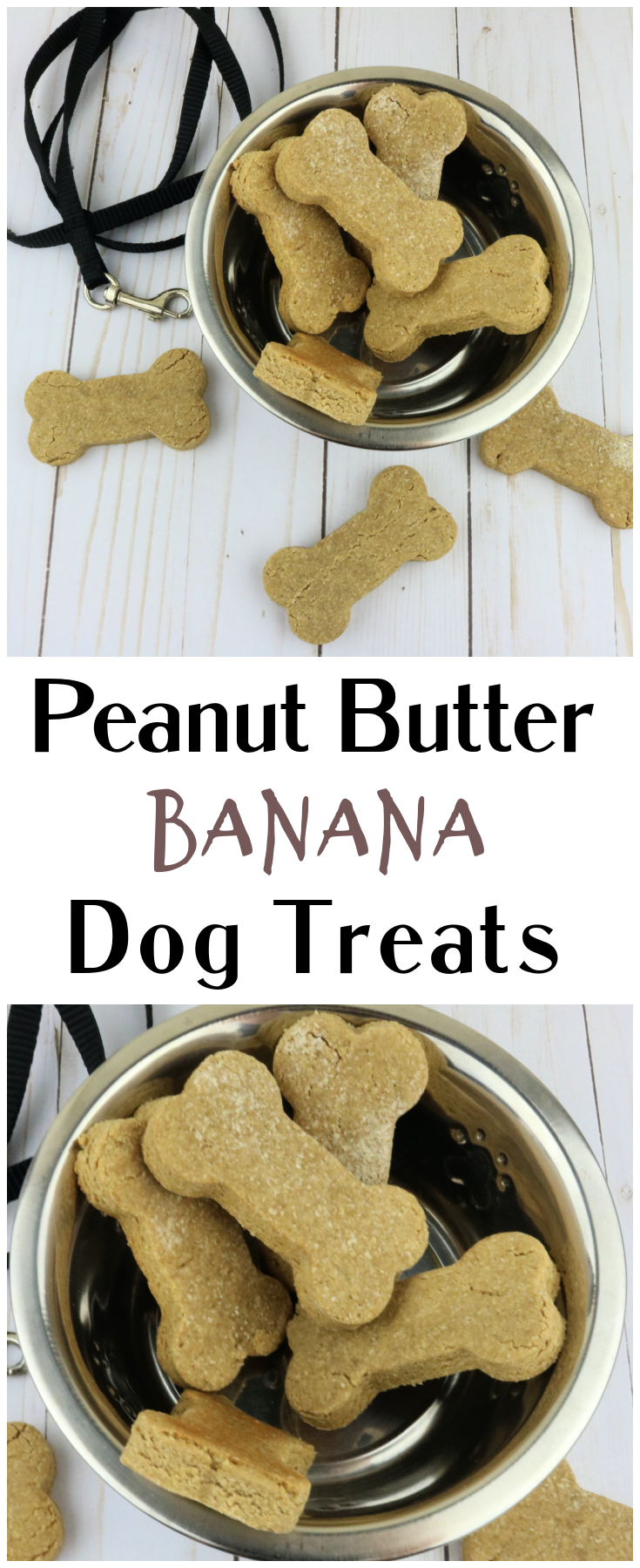 Dog Treats DIY