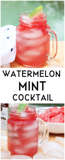 Watermelon Mint Cocktail