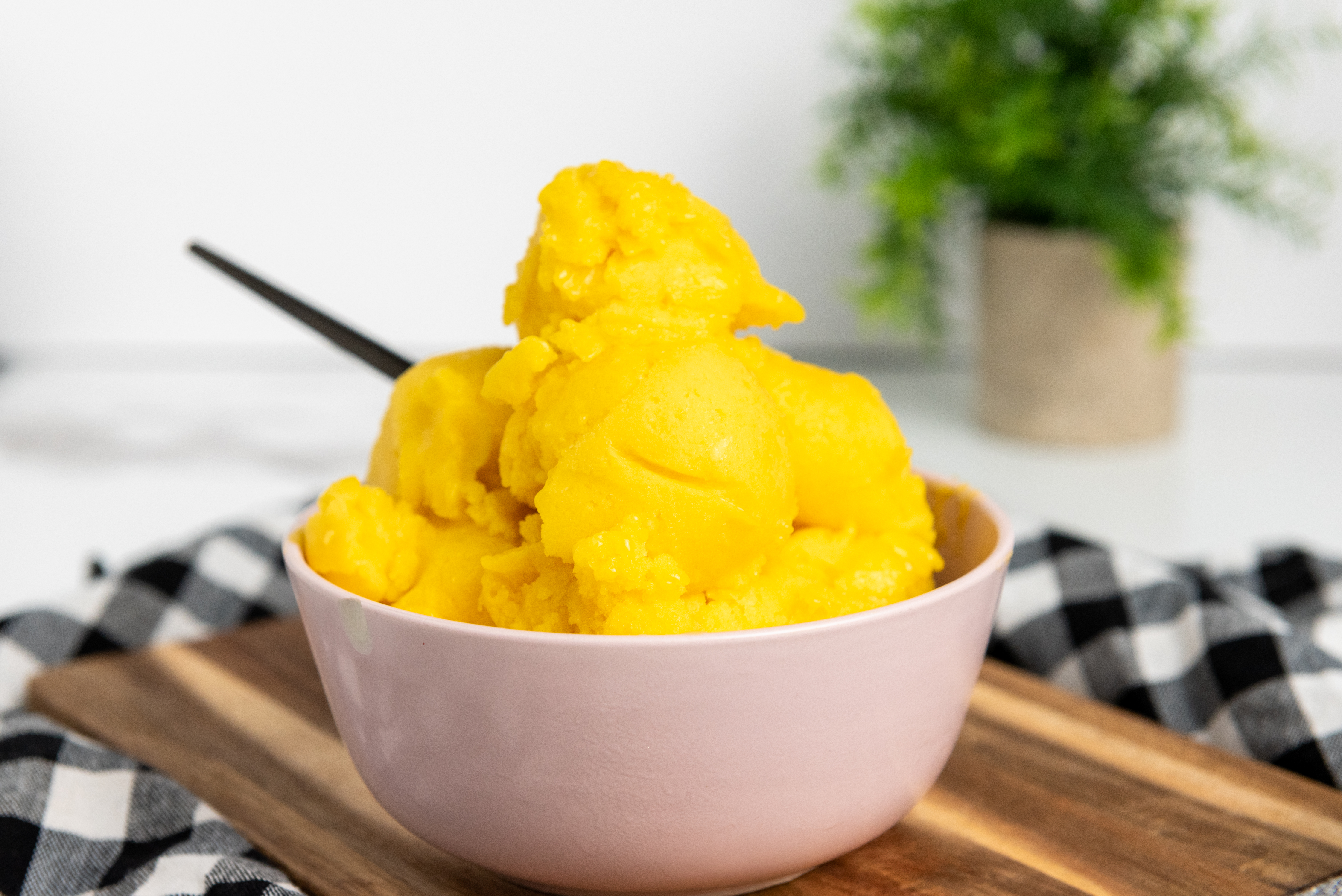 Vegan Mango Sorbet