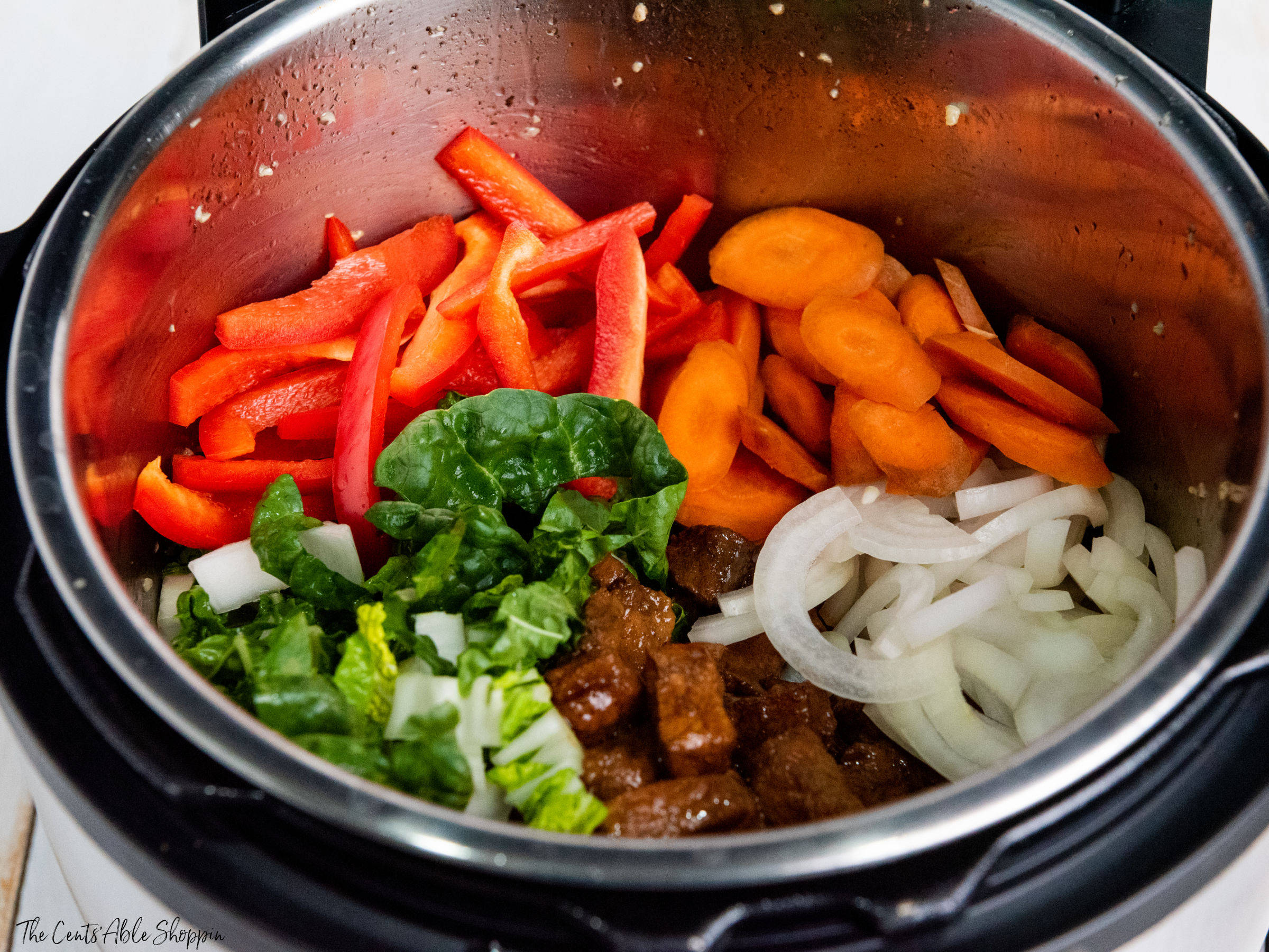 Instant Pot Pork Lo-Mein