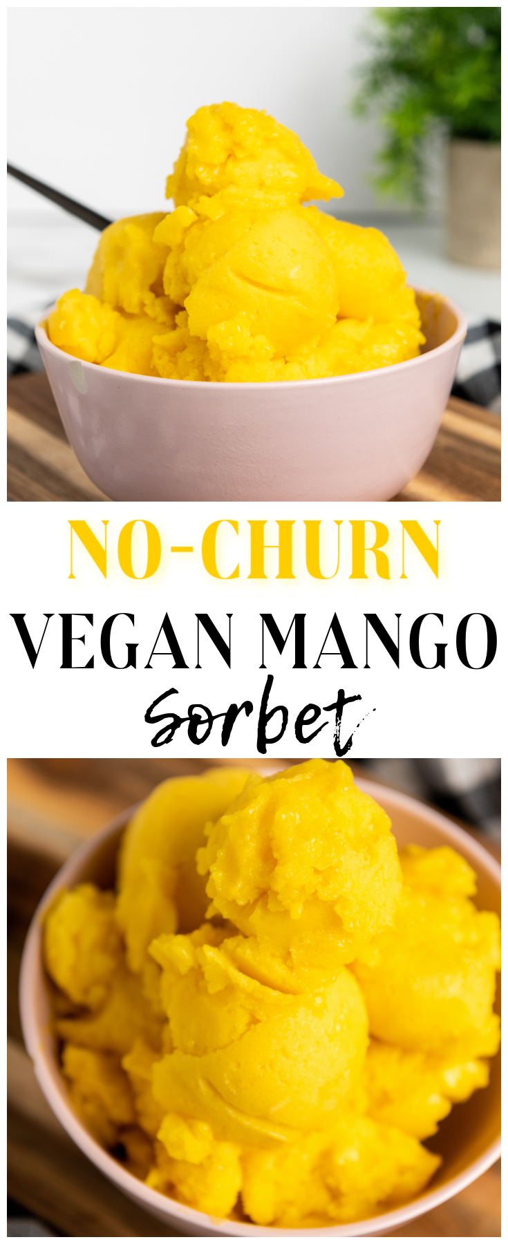 Vegan Mango Sorbet